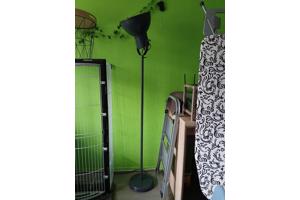 Grote stalamp en kleine tafellamp.