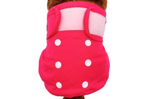 2 VERSTELBARE LOOPSHEIDBROEKJES