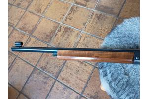 Daisy Champion 99 BB matchbuks 1974