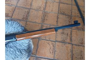 Daisy Champion 99 BB matchbuks 1974