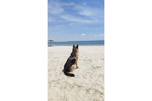 met kleine groep camperaars naar Griekenland 6 wkn. mei/juni