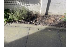 Grote terrastegels 60x60