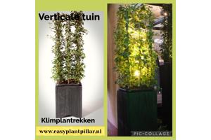 Plantensteunen draadrekken klimplantensteun plantenrek