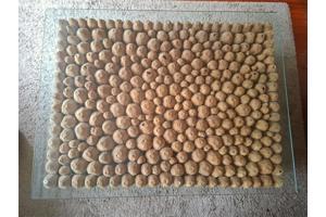 Handgemaakte houten organische salontafel