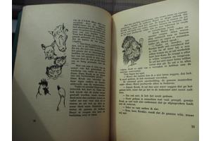 Gerard Walschap  -  Gansje Kwak