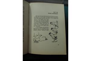 Gerard Walschap  -  Gansje Kwak