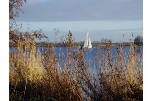 Flying Arrow type Schakel opknapper