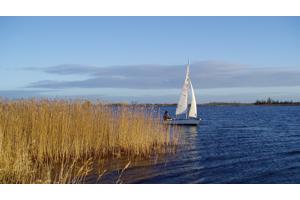 Flying Arrow type Schakel opknapper