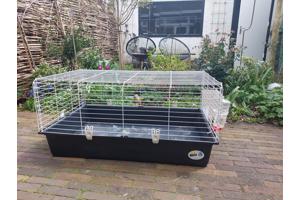 Cavia of konijnenkooi