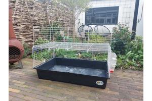 Cavia of konijnenkooi