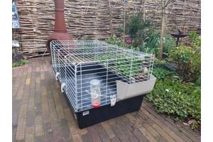 Cavia of konijnenkooi