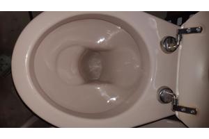 70's Camee kleurig SPHINX duoblok toilet, wastafel, planchet