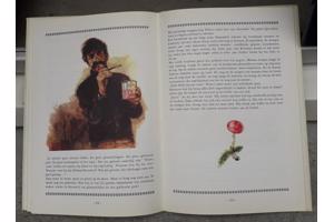 5x leuke kinderboeken om te lezen of vóór te lezen.