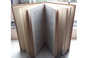 5x leuke kinderboeken om te lezen of vóór te lezen.