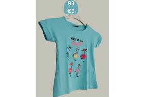 Glo-Story t-shirt flamingo's turquoise 98