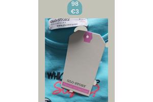 Glo-Story t-shirt flamingo's turquoise 98