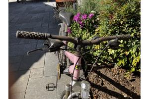 Meiden Mountainbike ideaal voor op de camping