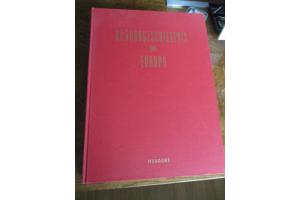 De Voorgeschiedenis van Europa