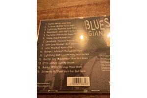 een mooie cd blues giants