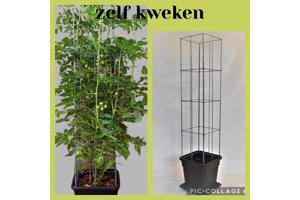 Klimplanten Draadrekken voor de verticale tuin