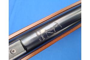 Diana 34, in nette staat met nieuwe Titan XS veer