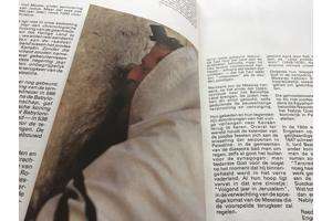 Boek.Het land van beloften speciale cultuur met testamenten