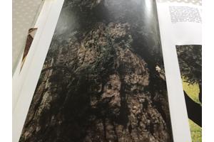 Boek.Het land van beloften speciale cultuur met testamenten