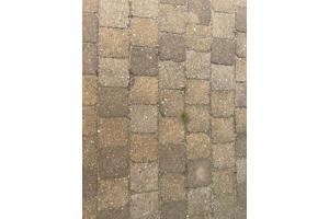 Coppelstones