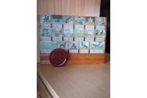 AAP NOOT MIES leesplankje Jr 60