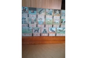 AAP NOOT MIES leesplankje Jr 60