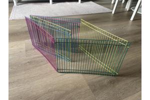 Knaagdier ren hamster