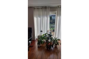 6x Witte gordijndelen