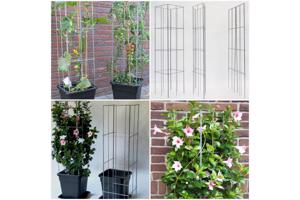 DRAADREKKEN VOOR Klimplanten kuipplanten terrasplanten