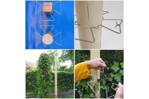 DRAADREKKEN VOOR Klimplanten kuipplanten terrasplanten