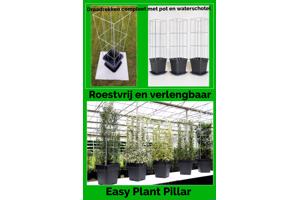 DRAADREKKEN VOOR Klimplanten kuipplanten terrasplanten