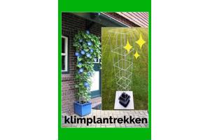 DRAADREKKEN VOOR Klimplanten kuipplanten terrasplanten