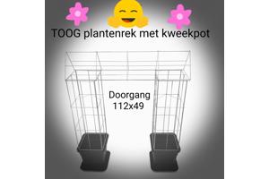 DRAADREKKEN VOOR Klimplanten kuipplanten terrasplanten