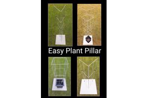 DRAADREKKEN VOOR Klimplanten kuipplanten terrasplanten