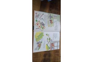 Verschillende kinderboeken