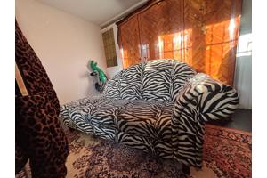 Zwart witte zebrabank