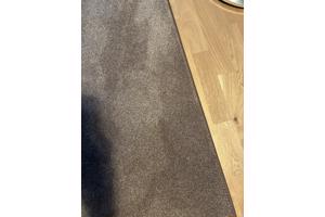 Vloekleed donkerbruin 240 x 300 cm