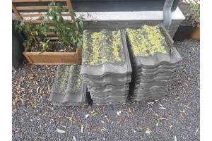 230 dakpannen (beton) af te halen