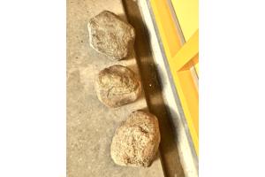 Drie Drenthse Zwerfkeien