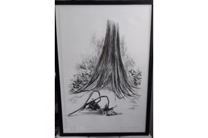 Litho`s 5 stuks en zijn in goede staat! Onderwerp: Bloemen.