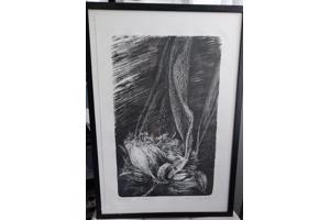 Litho`s 5 stuks en zijn in goede staat! Onderwerp: Bloemen.