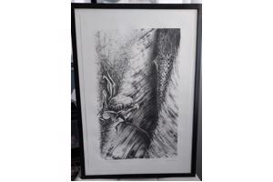 Litho`s 5 stuks en zijn in goede staat! Onderwerp: Bloemen.