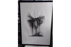 Litho`s 5 stuks en zijn in goede staat! Onderwerp: Bloemen.