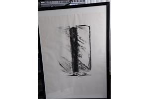 Litho`s 5 stuks en zijn in goede staat! Onderwerp: Bloemen.