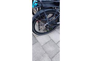 Vogue carry 3 ( driewieler)