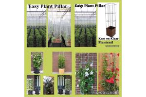 KLIMHULP voor rozen roos tuinrozen klimrozen clematis hedera